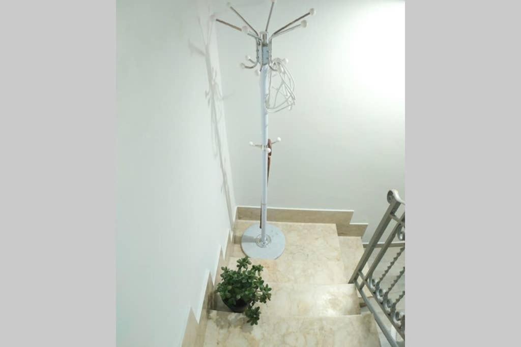 Casa Vacanza Terra Mare Castellammare del Golfo Kültér fotó